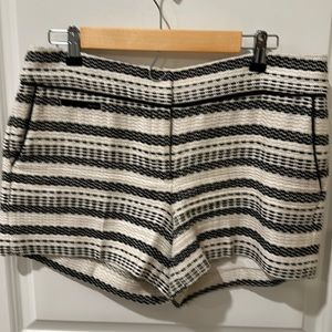 Ann Taylor Loft Black & Cream Tweed Short Size 6